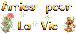 VRAIE OU FAUX